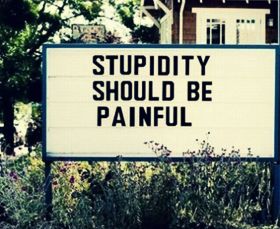 New Stupidity Quotes & Sayings Feb 2020